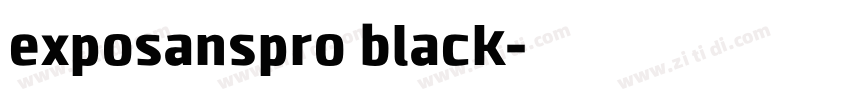 exposanspro black字体转换